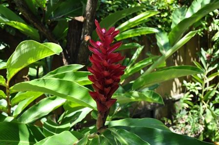 �o�����Q�O