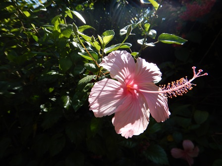 �o�����Q�P