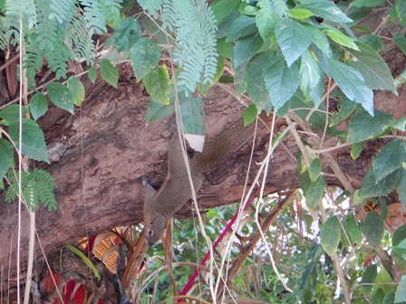 �o�����Q�S