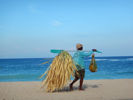 �o�����R�P