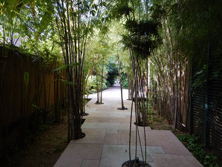 �o�����R�S