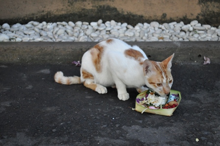 �o�����S�T