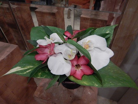 �o�����T�U