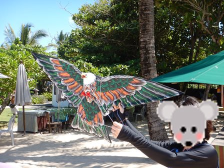 �o�����T