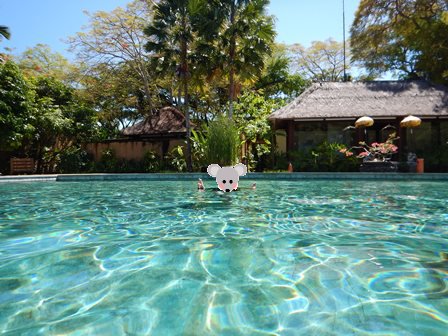 �o�����U