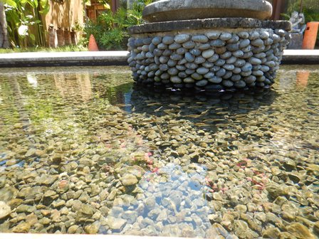 �o�����V