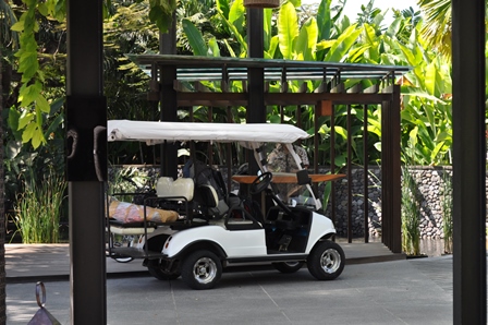 �o�����P�P