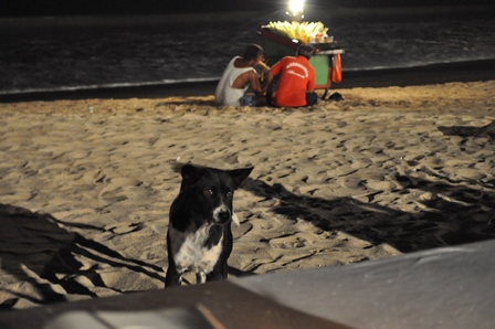 �o�����S�Q