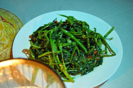 �o�����S�S