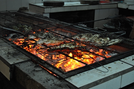 �o�����T�O