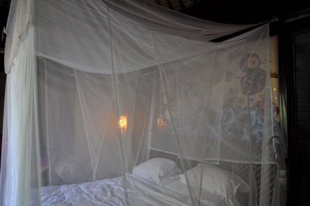 �o�����X