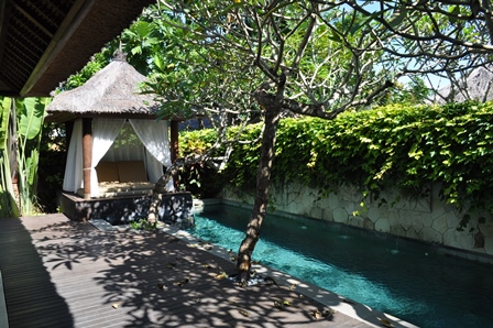 �o�����P�O