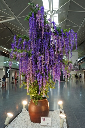 �J���N���P