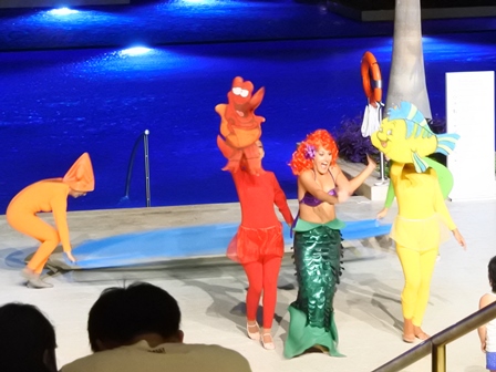 �J���N���U�Q