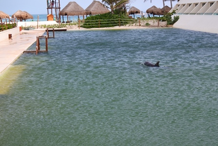 �J���N���S�P