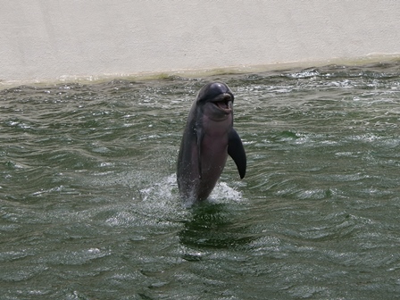 �J���N���S�Q