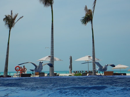 �J���N���T�P