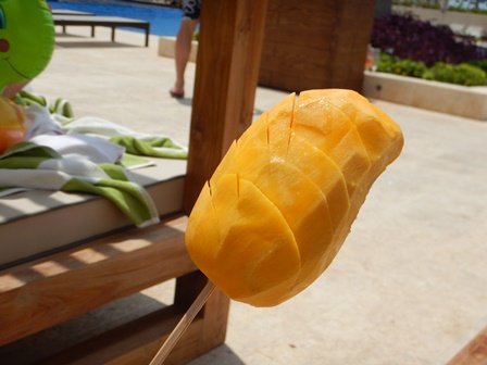 �J���N���T�R