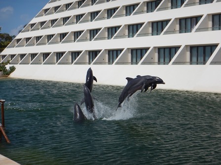 �J���N���T�T