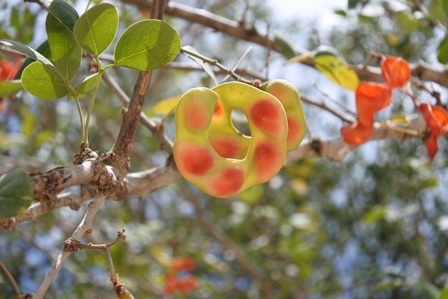 �J���N���R�R