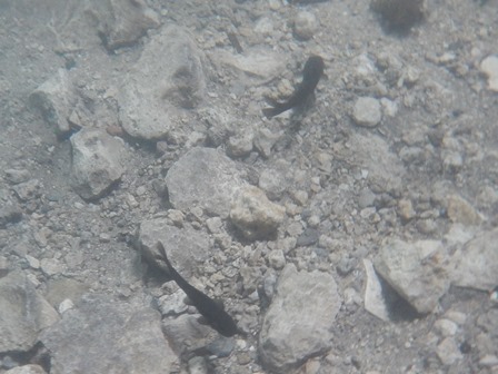 �J���N���S�S