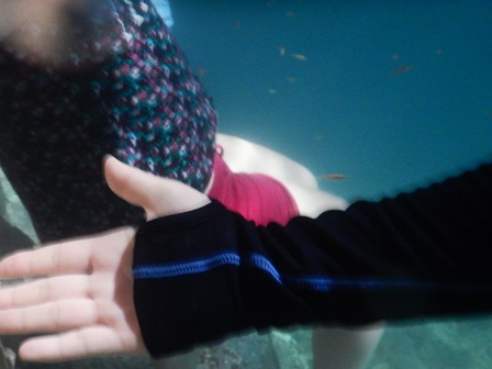 �J���N���S�T