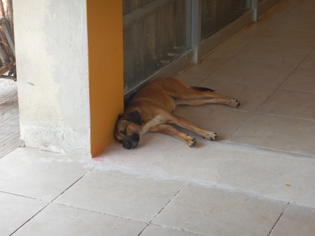 �J���N���S�W