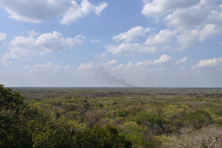 �J���N���U�T