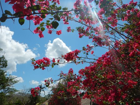 �J���N���P�R