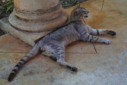 �J���N���Q�R