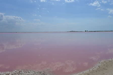 �J���N���R�U