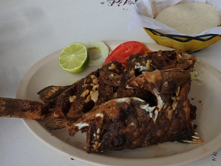 �J���N���S�Q