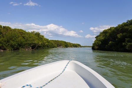 �J���N���S�T