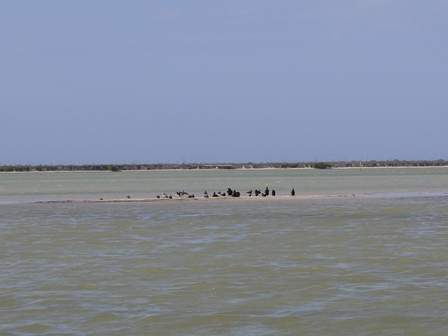 �J���N���T�P