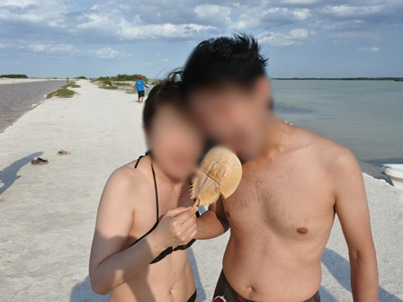 �J���N���T�T