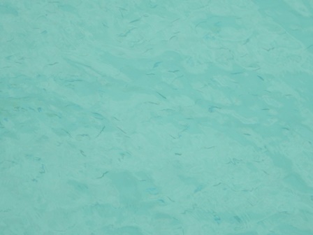 �J���N���Q�Q