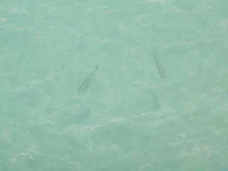 �J���N���Q�R