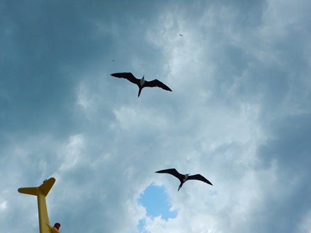 �J���N���R�U