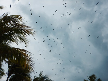 �J���N���S�Q