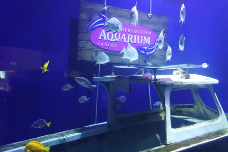 �J���N���W�R