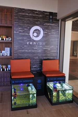 �J���N���P