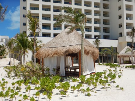 �J���N���P�R