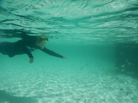 �J���N���Q�Q