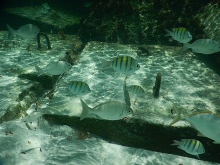 �J���N���Q�T