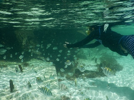 �J���N���Q�V