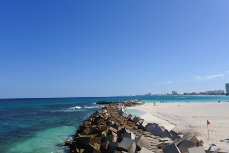 �J���N���T�Q