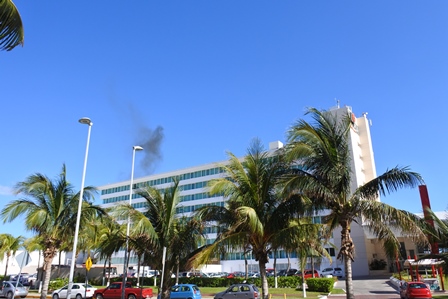 �J���N���T�R