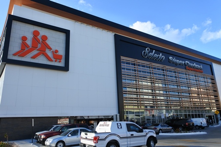 �J���N���T�X