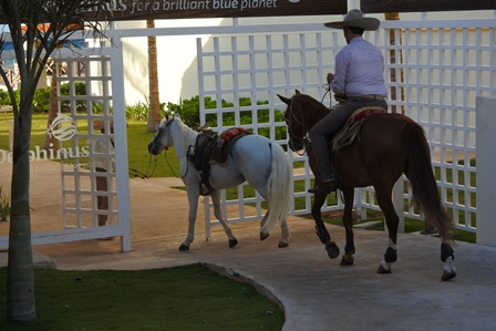 �J���N���U�O