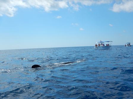 �J���N���P�O